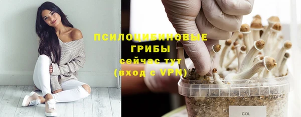 СК Алексин