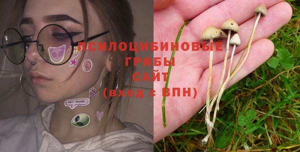 сатива Магадан