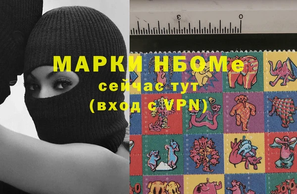 СК Алексин